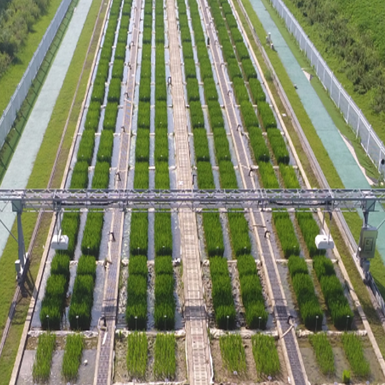 龍門式高通量表型采集分析平臺(tái)（地軌式）